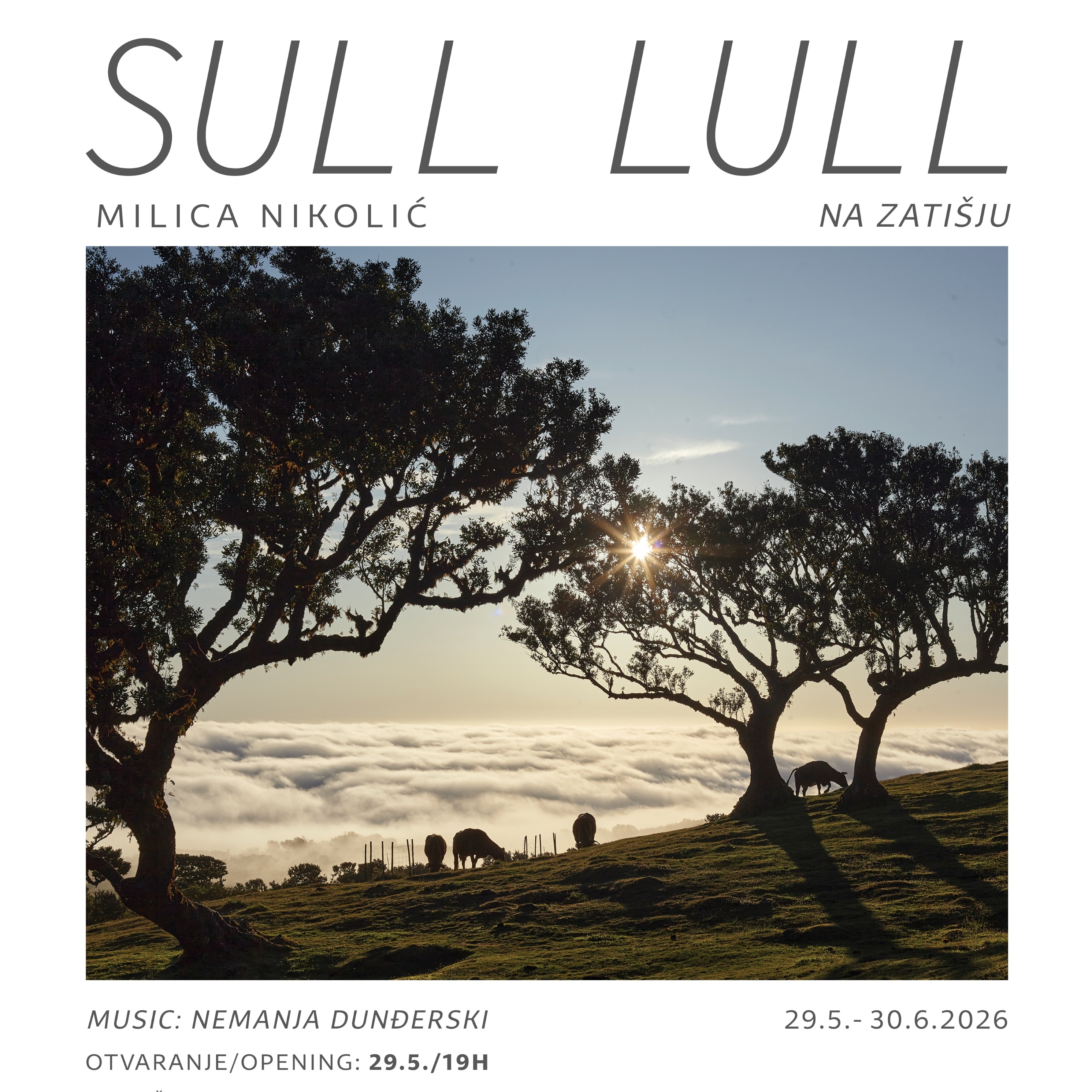 Sull Lull / Na zatišju: Milica Nikolić
