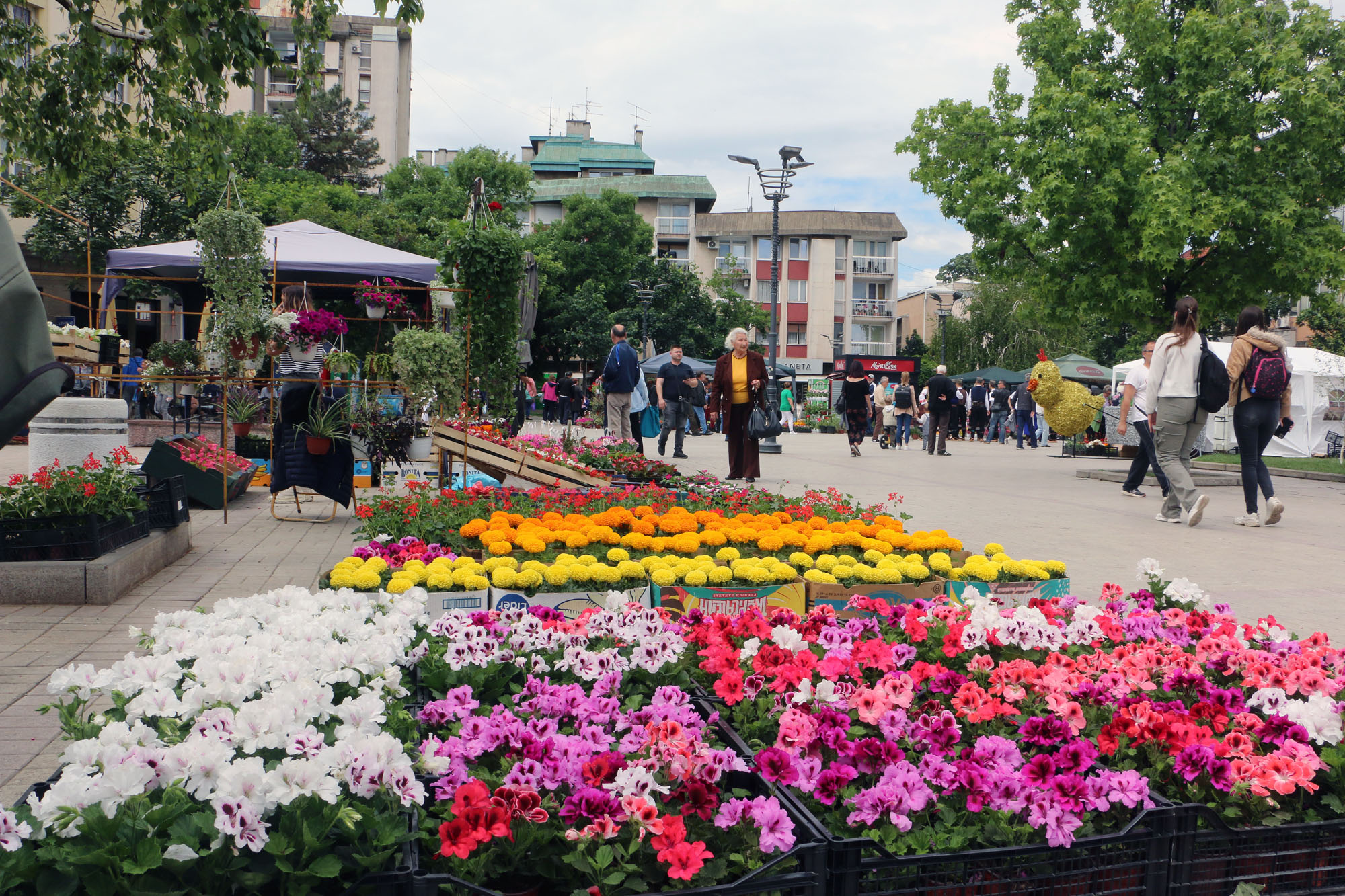 Prolećni sajam cveća i meda 2026.