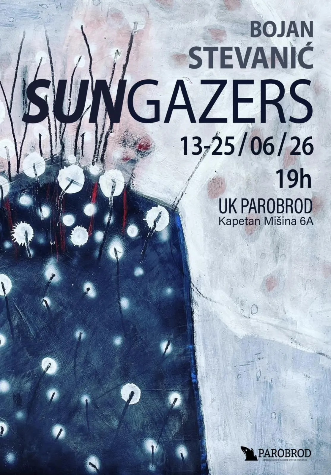Izložba "Sungazers" Bojana Stevanića