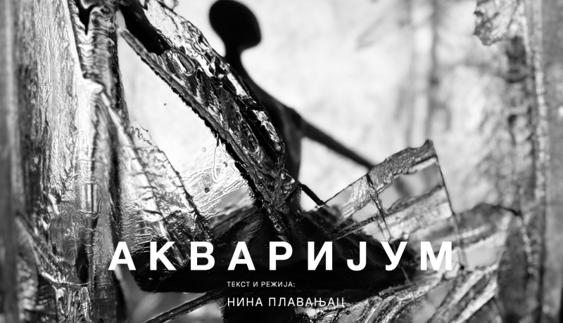 Nina Plavanjac: Akvarijum (14)