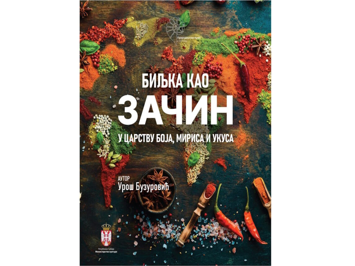 BILjKA KAO ZAČIN – U carstvu boja, mirisa i ukusa!