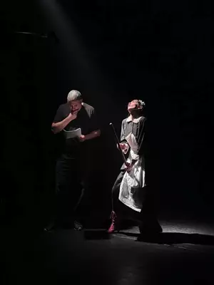 Dnevnik jedne sobarice