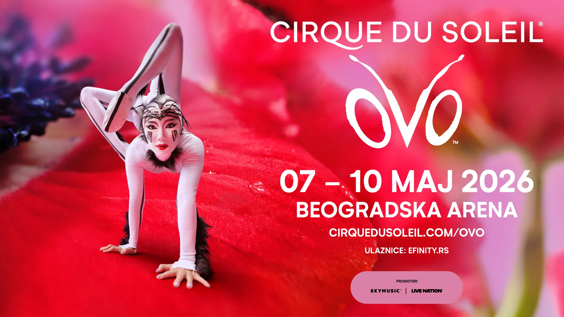 Cirque du Soleil