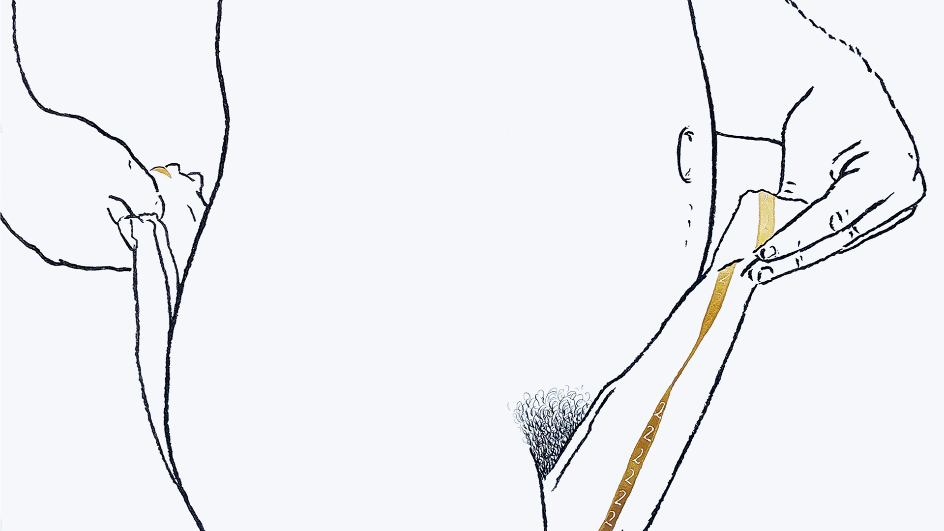 (Ne)zvanična verzija