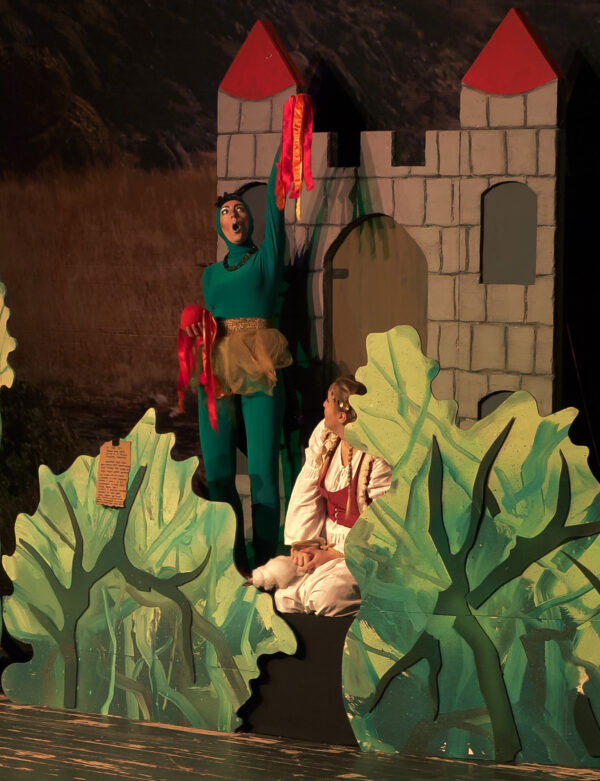 ČARDAK NI NA NEBU NI NA ZEMLJI