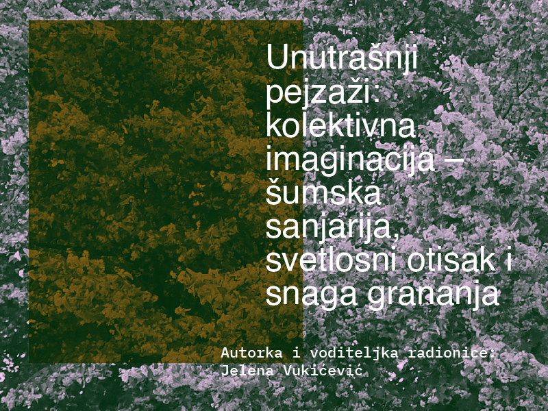 RADIONICA SVETLOSTI, JEZIKA I BILJNE IMAGINACIJE