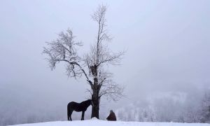 “KO ĆE POKUCATI NA VRATA MOG DOMA”