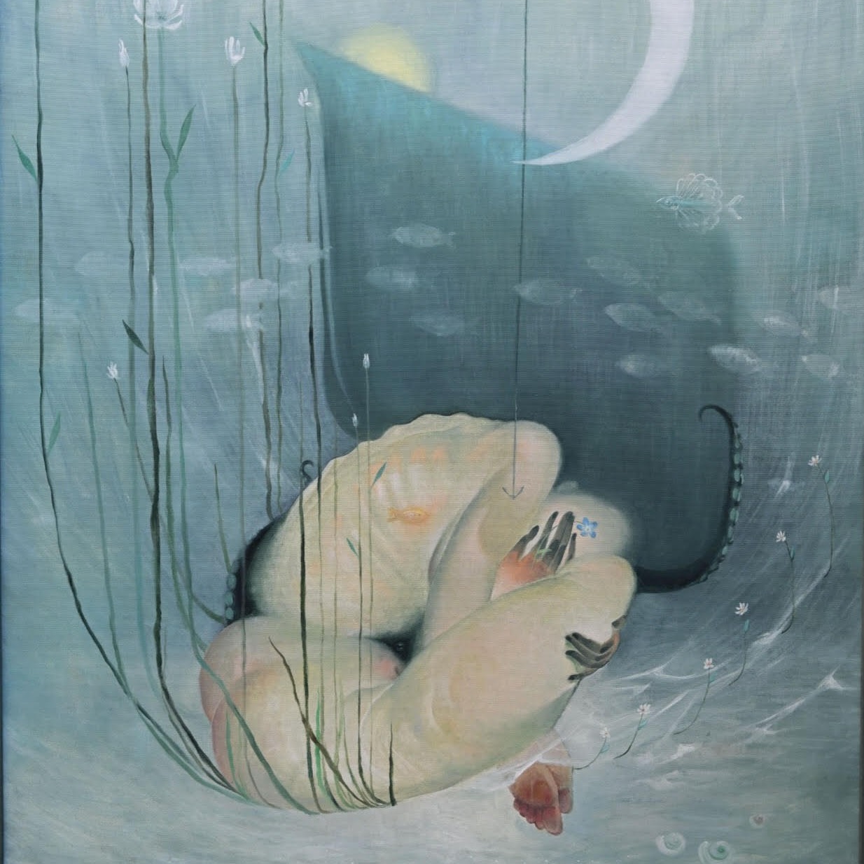 Okviri uma - a u mraku svetlost: Ljubica Kržić Walther