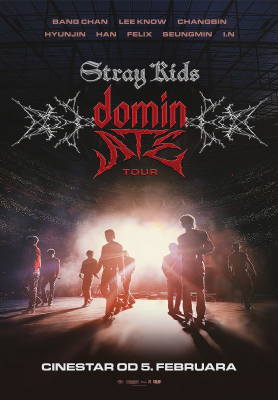 STRAY KIDS- The dominATE Experience